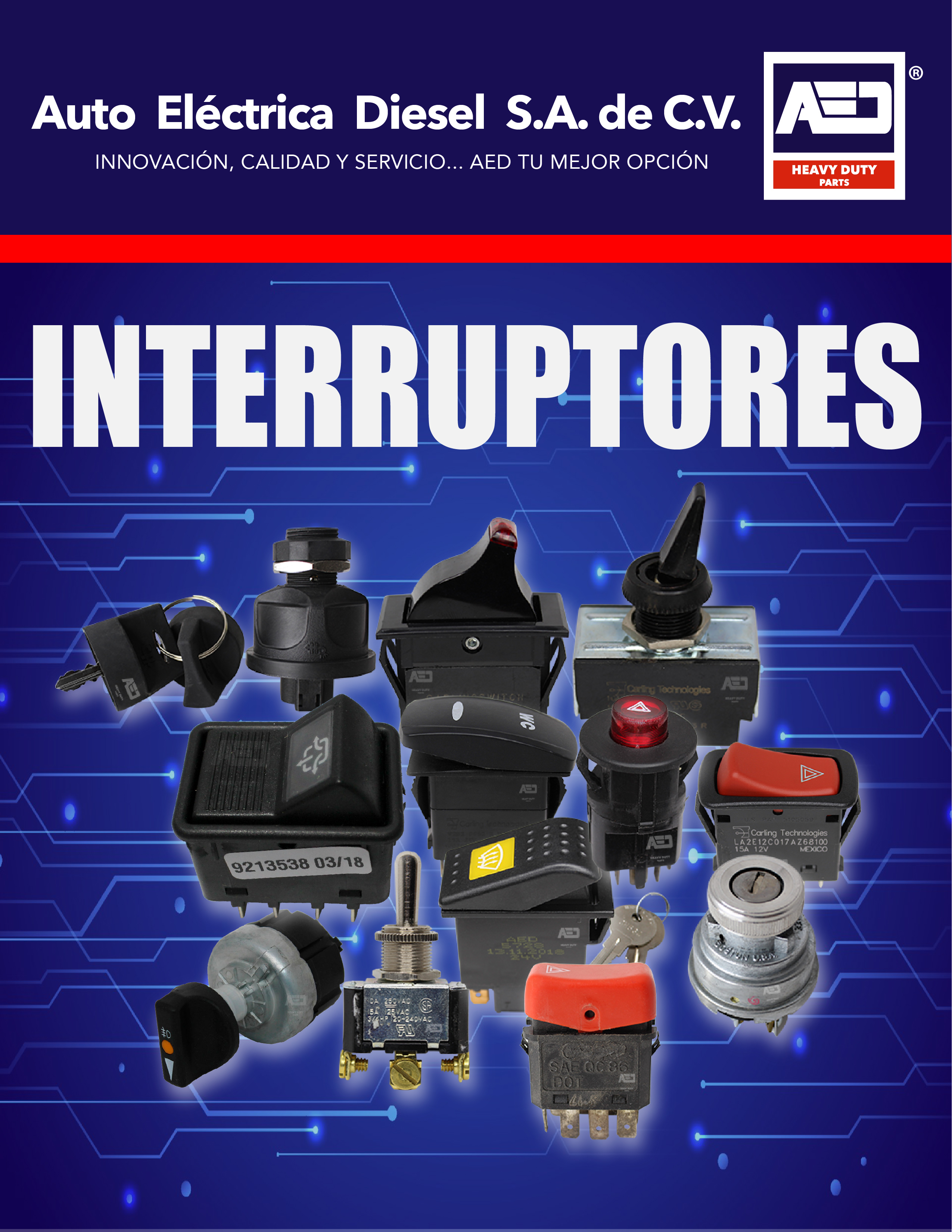 INTERRUPTORES